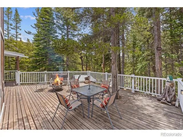 218 Brook Drive Idaho Springs, CO 80452