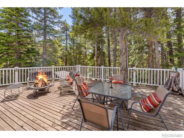 218 Brook Drive Idaho Springs, CO 80452