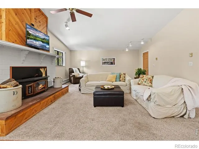 218 Brook Drive Idaho Springs, CO 80452