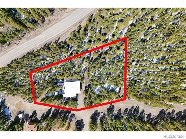 218 Brook Drive Idaho Springs, CO 80452