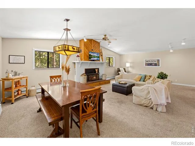218 Brook Drive Idaho Springs, CO 80452