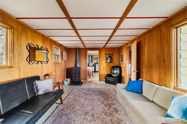 26 Meadow Drive Fairplay, CO 80440