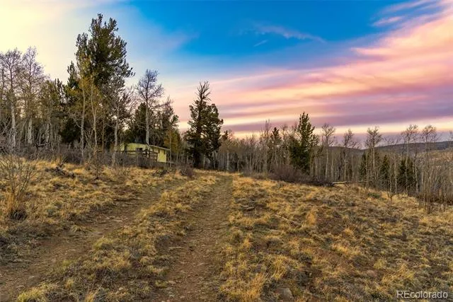 26 Meadow Drive Fairplay, CO 80440