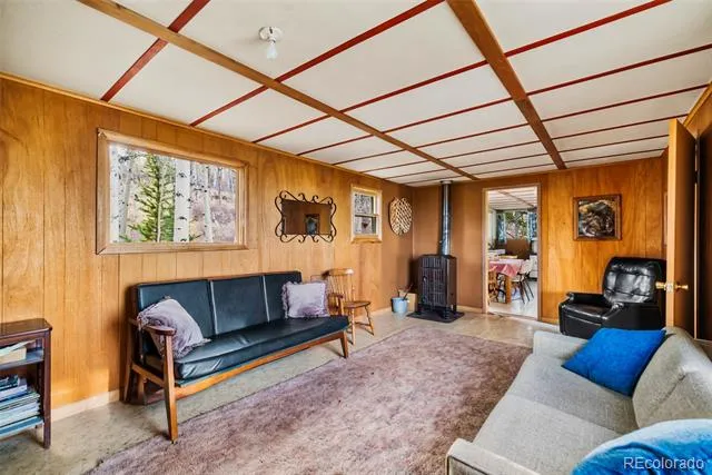 26 Meadow Drive Fairplay, CO 80440