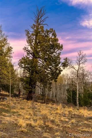 26 Meadow Drive Fairplay, CO 80440