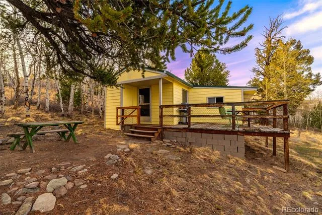 26 Meadow Drive Fairplay, CO 80440