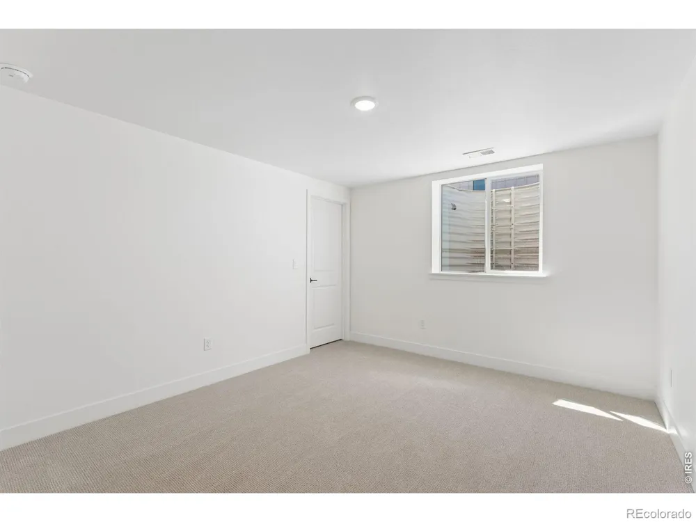 146 Blue Fortune Drive Windsor, CO 80550