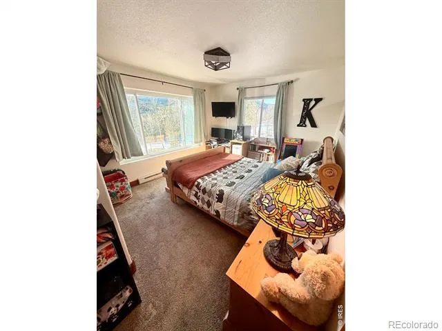 3689 ottawa Way Red Feather Lakes, CO 80545