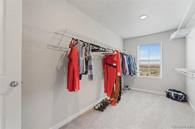5105 Beartrack Point Colorado Springs, CO 80925