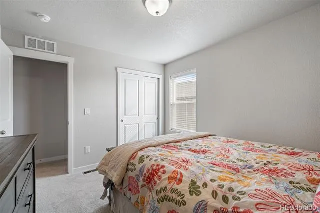 5105 Beartrack Point Colorado Springs, CO 80925