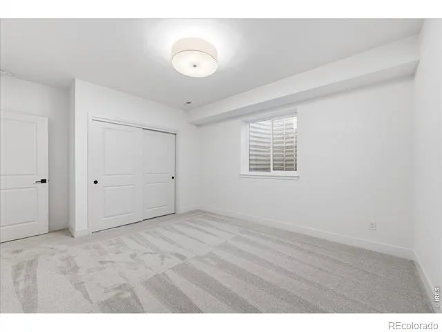 863 Clydesdale Drive Windsor, CO 80550