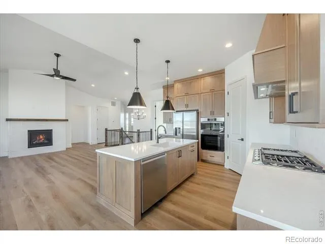 863 Clydesdale Drive Windsor, CO 80550