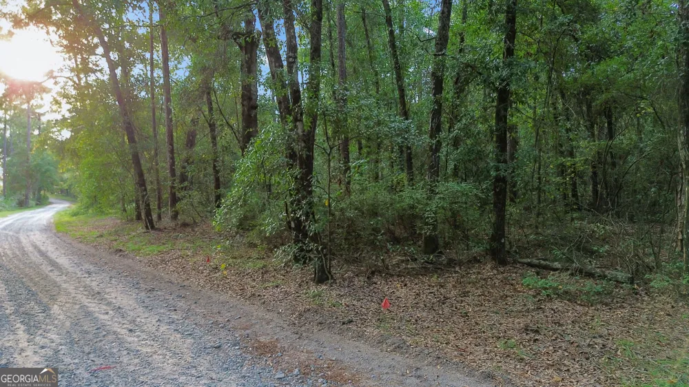 LOT 18 Red Oak DR Jesup, GA 31545