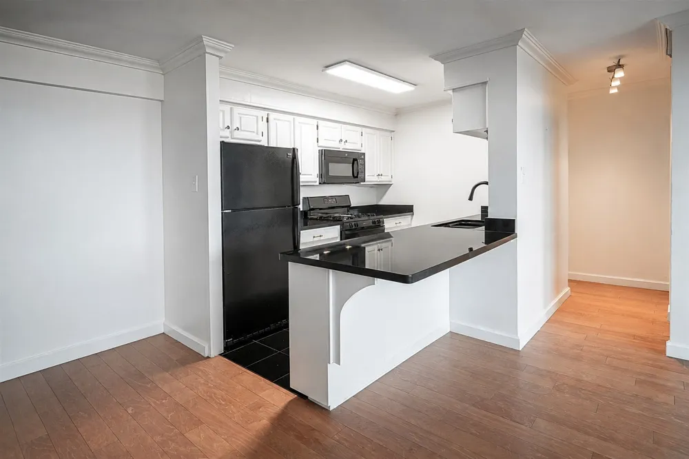 3883 Turtle Creek Boulevard #1203 Dallas, TX 75219