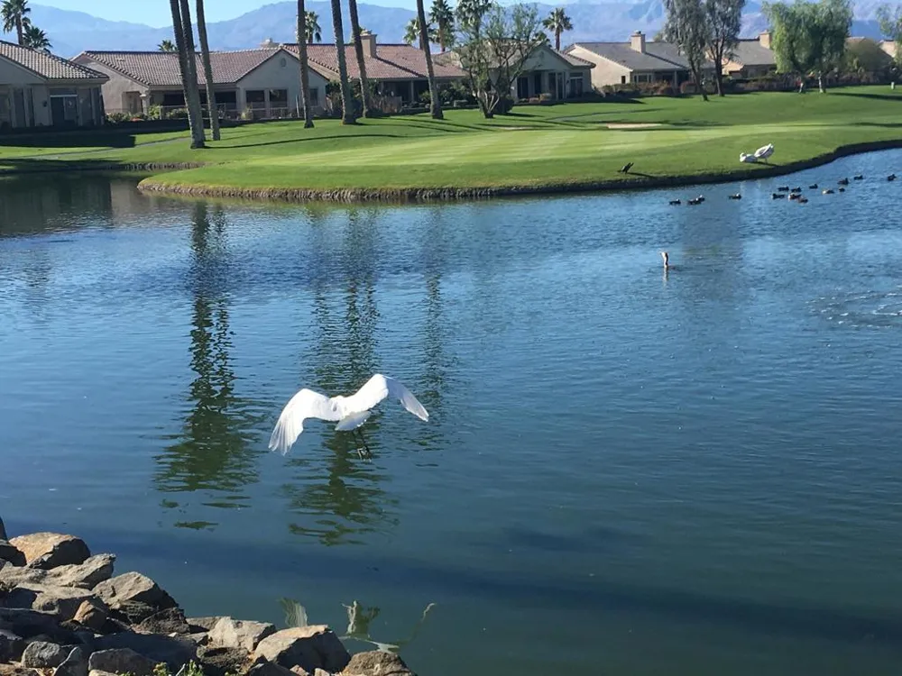 38517 Fallbrook Avenue Palm Desert, CA 92211