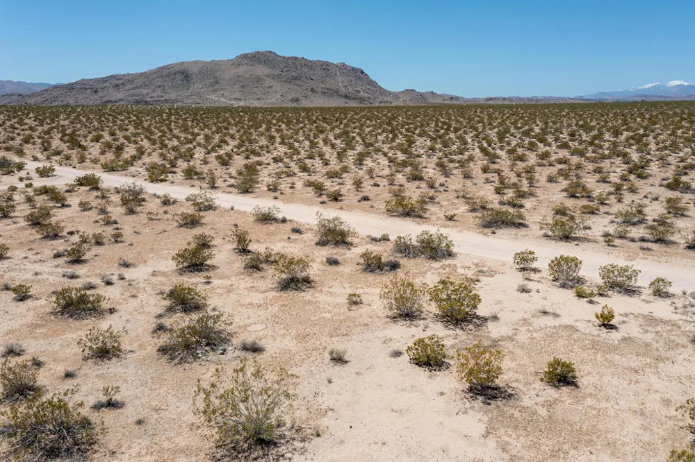 3375 Sunset Road Joshua Tree, CA 92252