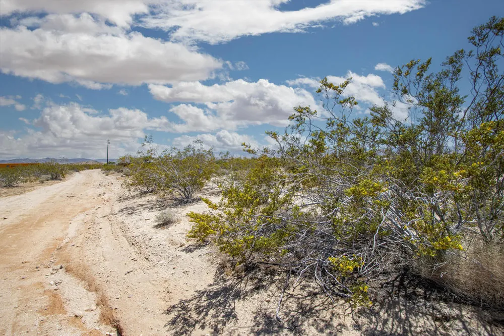 3375 Sunset Road Joshua Tree, CA 92252