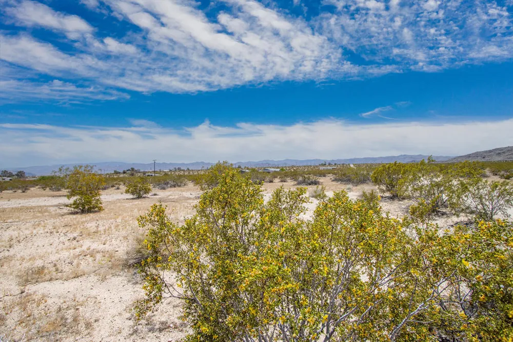 3375 Sunset Road Joshua Tree, CA 92252