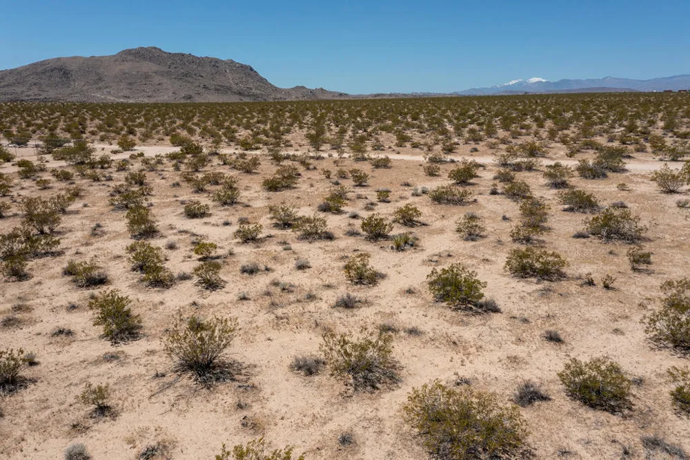 3375 Sunset Road Joshua Tree, CA 92252