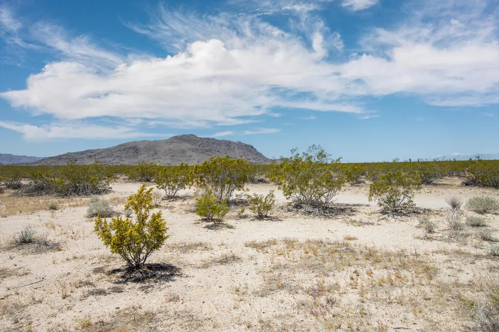 3375 Sunset Road Joshua Tree, CA 92252