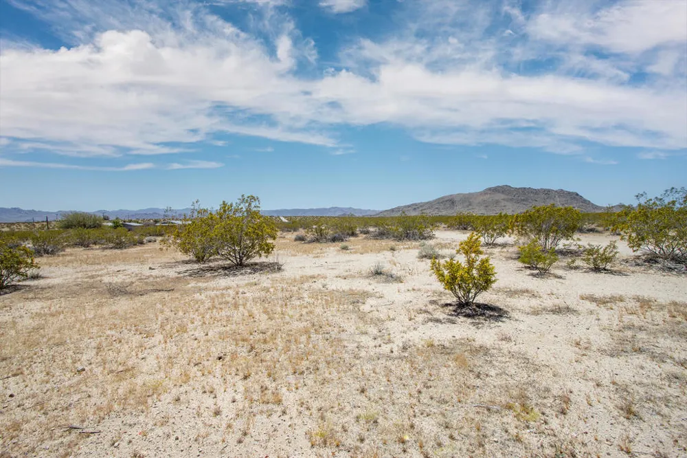 3375 Sunset Road Joshua Tree, CA 92252