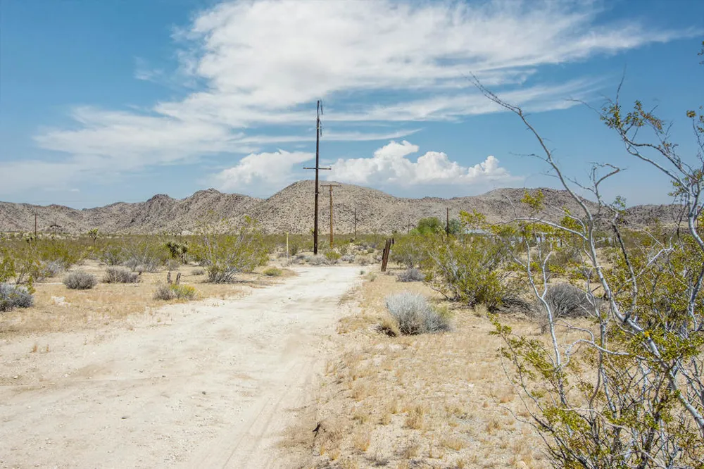 61155 Wilson Street Joshua Tree, CA 92252