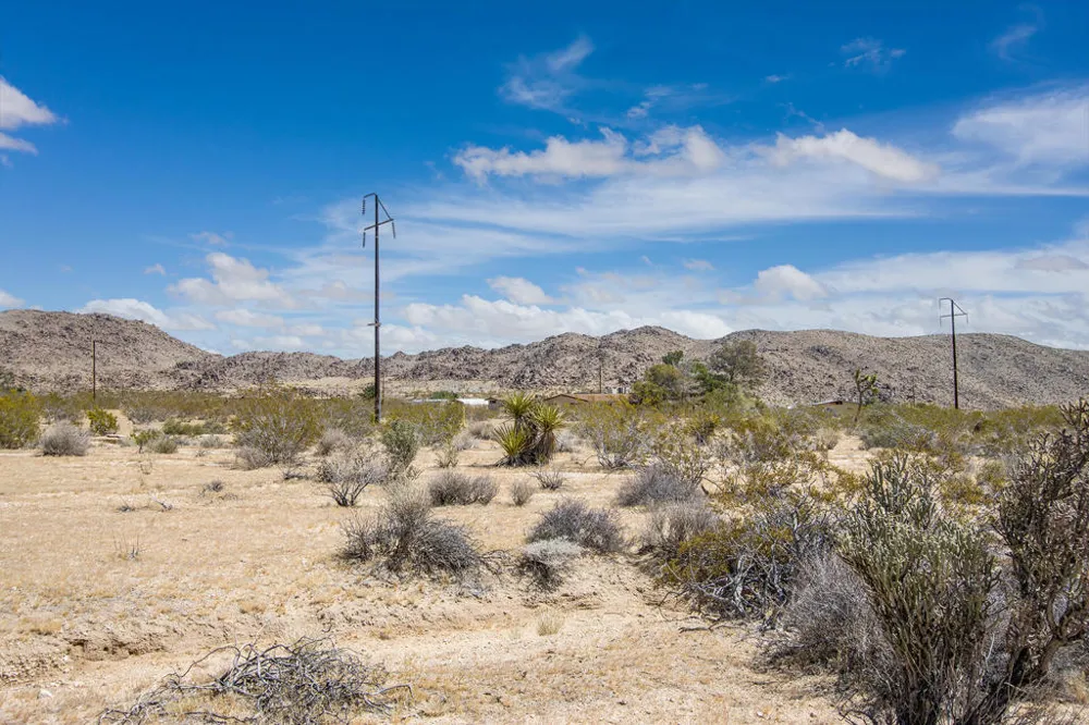 61155 Wilson Street Joshua Tree, CA 92252