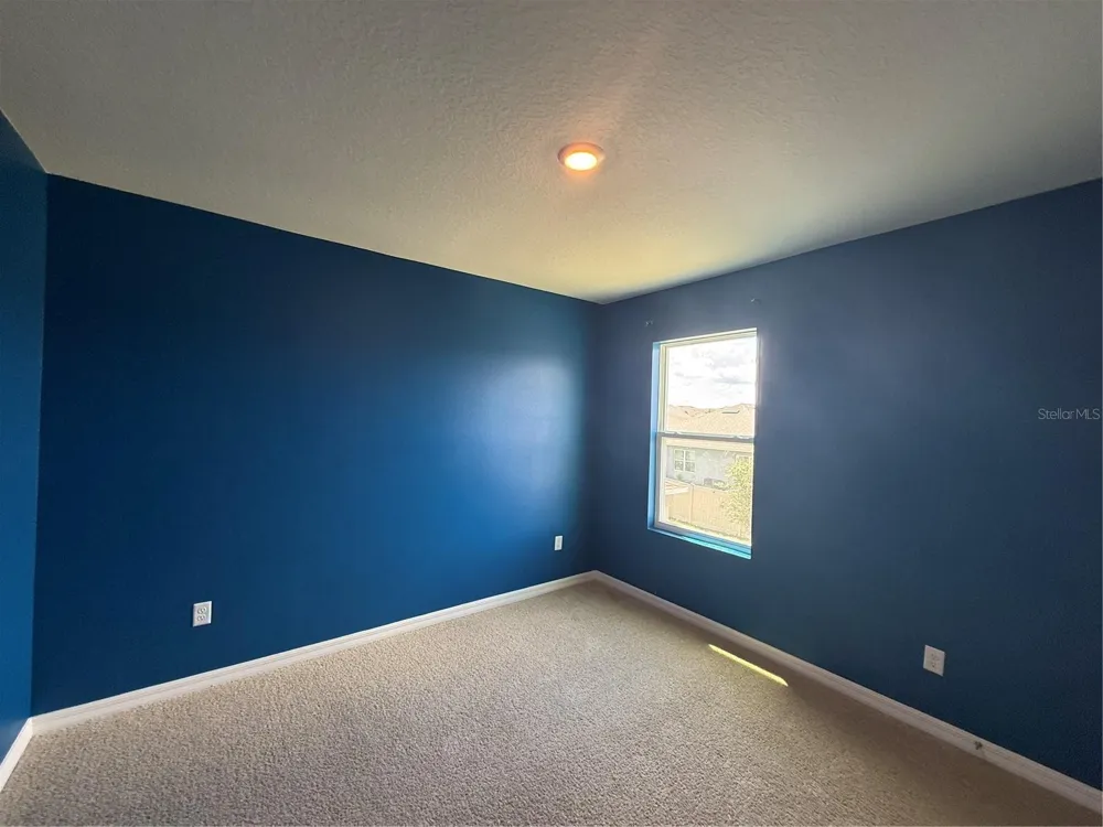11106 AMBER RIDGE DRIVE Zellwood, FL 32798