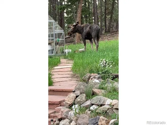 11988 Begole Circle Golden, CO 80403
