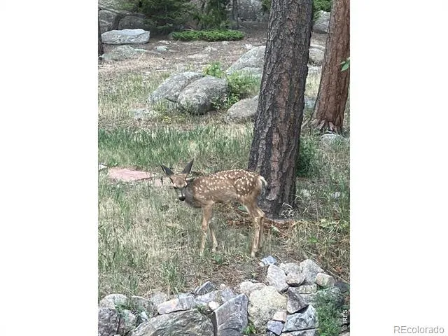11988 Begole Circle Golden, CO 80403