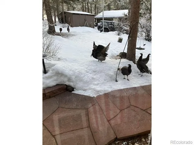 11988 Begole Circle Golden, CO 80403