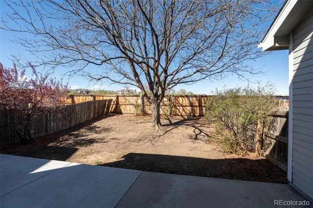 3825 E 94th Avenue Thornton, CO 80229