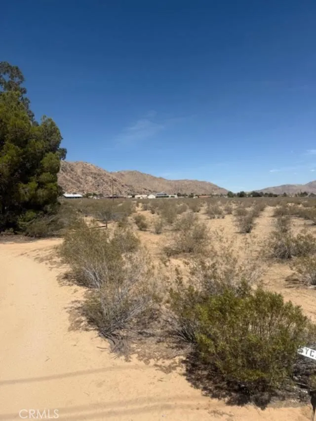 Waalew Lucerne Valley, CA 92356
