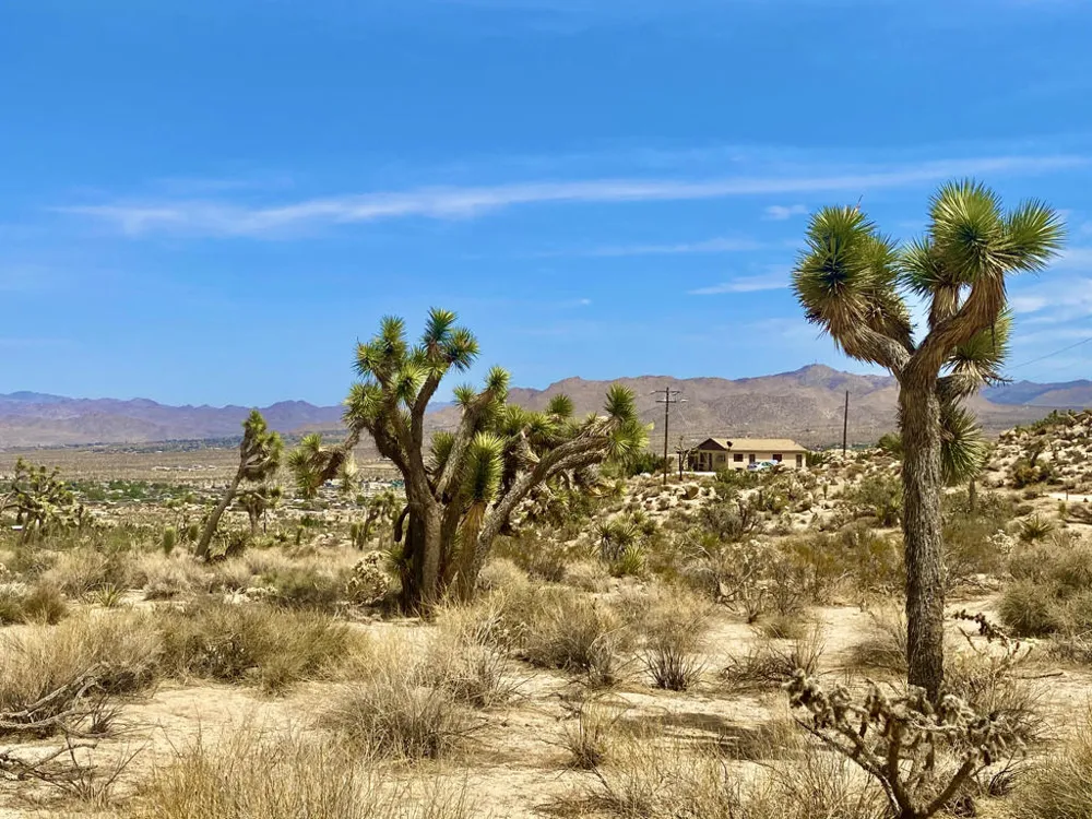 104 Bandera Road Yucca Valley, CA 92284