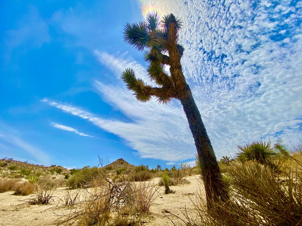 104 Bandera Road Yucca Valley, CA 92284