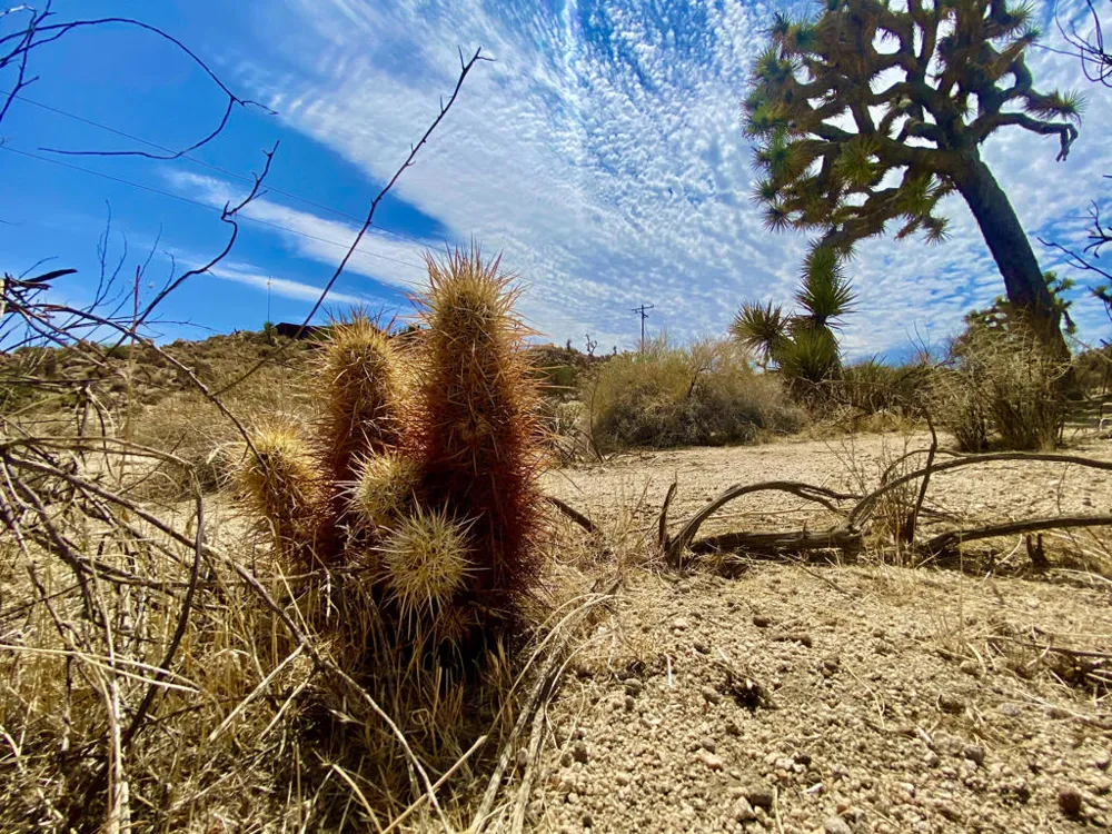 104 Bandera Road Yucca Valley, CA 92284