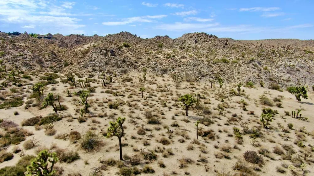 104 Bandera Road Yucca Valley, CA 92284