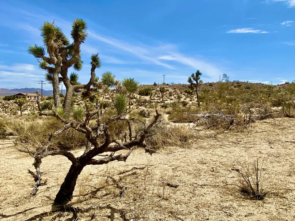 104 Bandera Road Yucca Valley, CA 92284