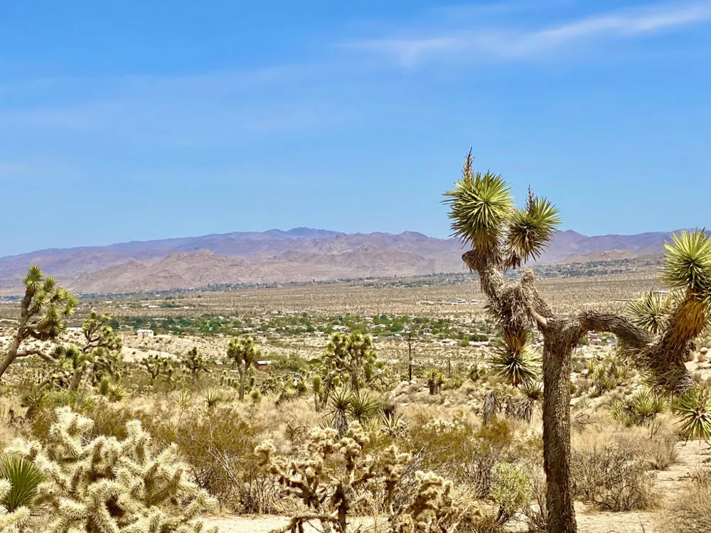 104 Bandera Road Yucca Valley, CA 92284