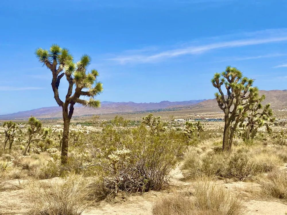 104 Bandera Road Yucca Valley, CA 92284