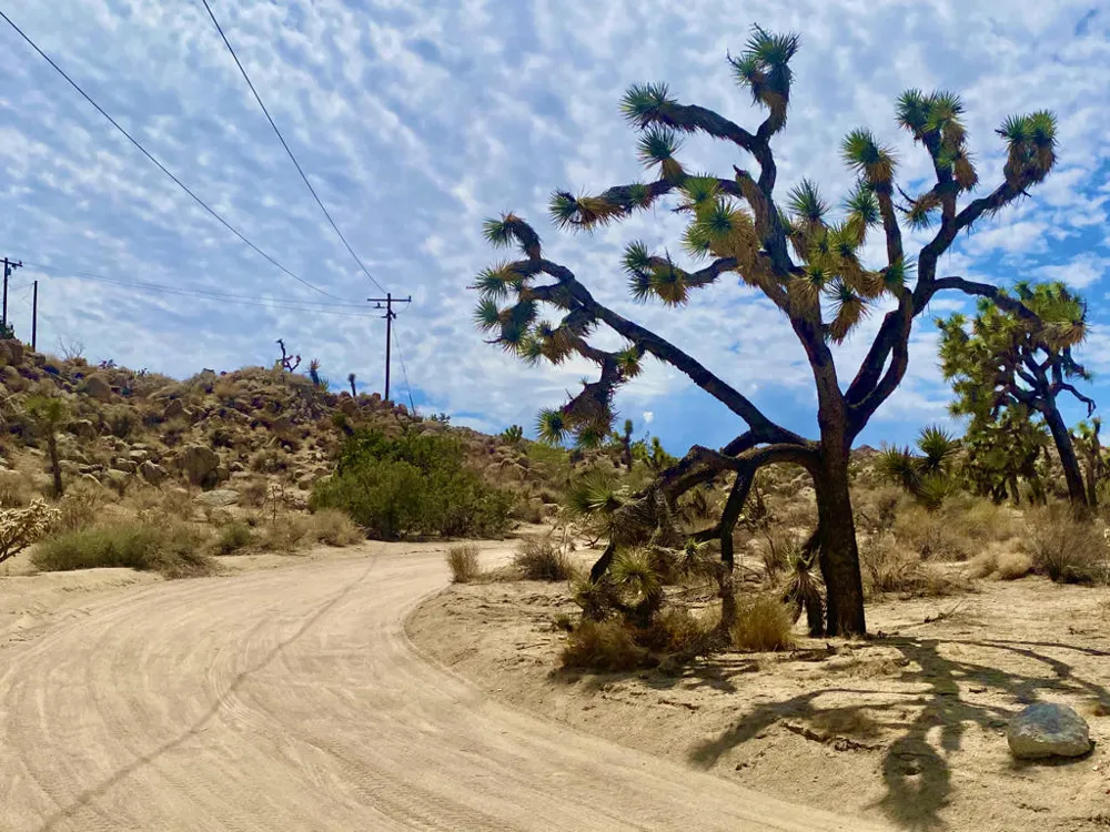 104 Bandera Road Yucca Valley, CA 92284