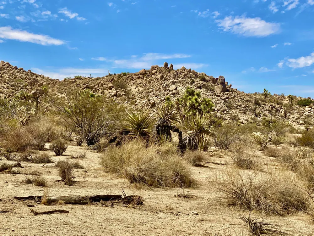 104 Bandera Road Yucca Valley, CA 92284