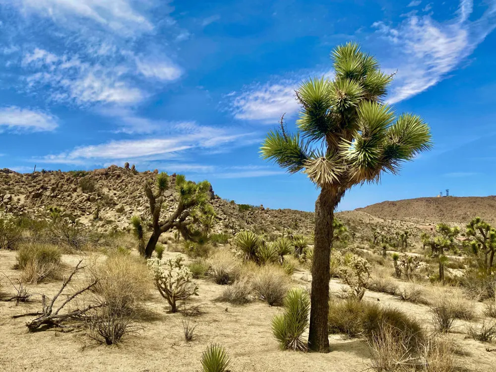 104 Bandera Road Yucca Valley, CA 92284