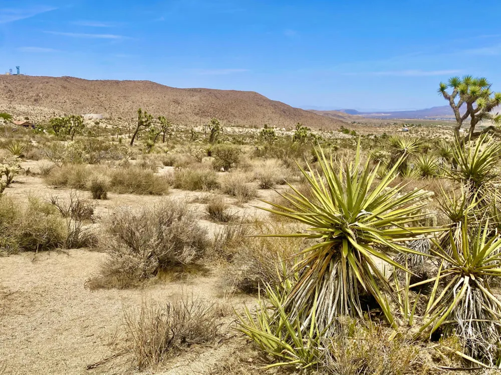 104 Bandera Road Yucca Valley, CA 92284