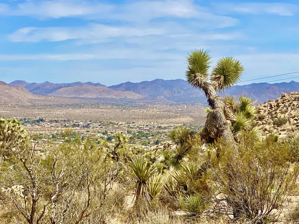 104 Bandera Road Yucca Valley, CA 92284
