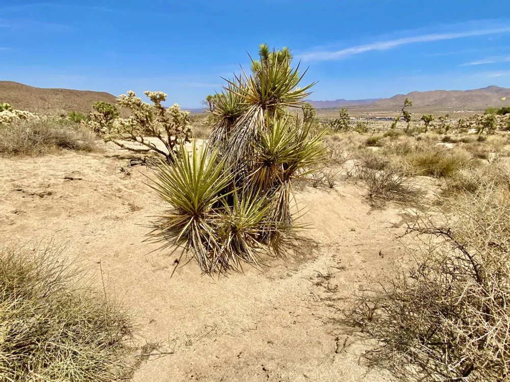 104 Bandera Road Yucca Valley, CA 92284