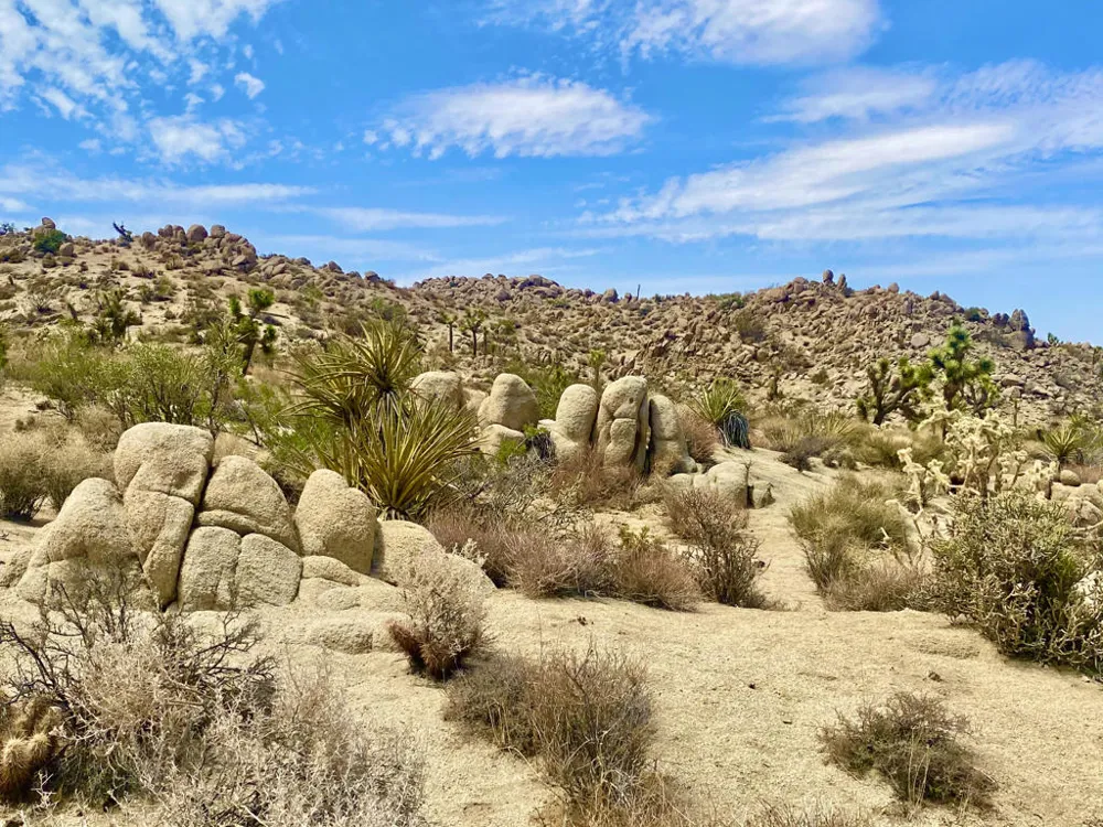 104 Bandera Road Yucca Valley, CA 92284