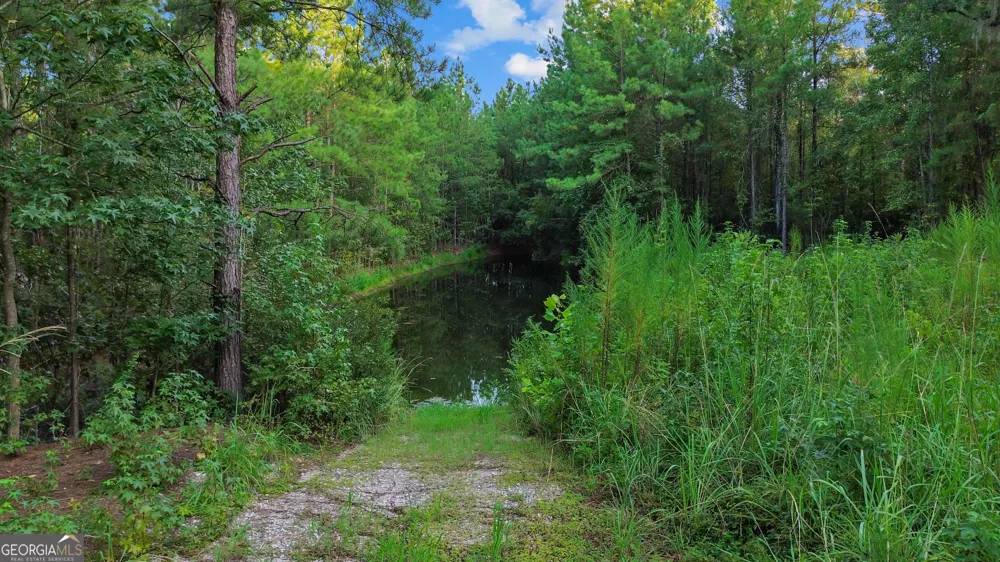 LOT 47 Red Oak DR Jesup, GA 31545