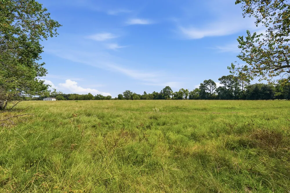 16111 Clarence Street Needville, TX 77461