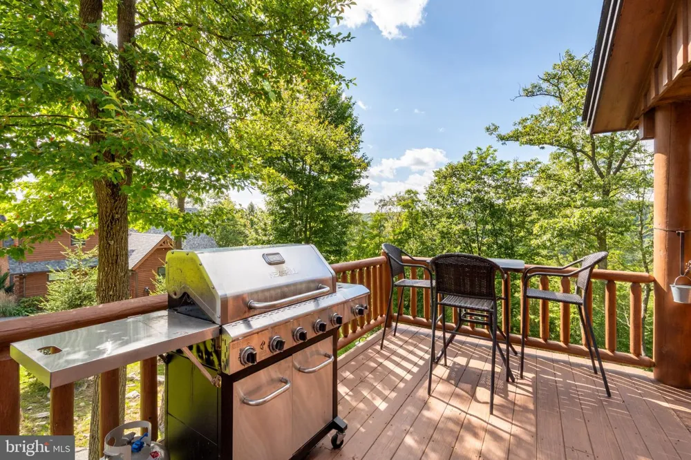 870 CAMP ROAD Mc Henry, MD 21541